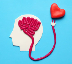 Emotional Health Impacts Heart Health